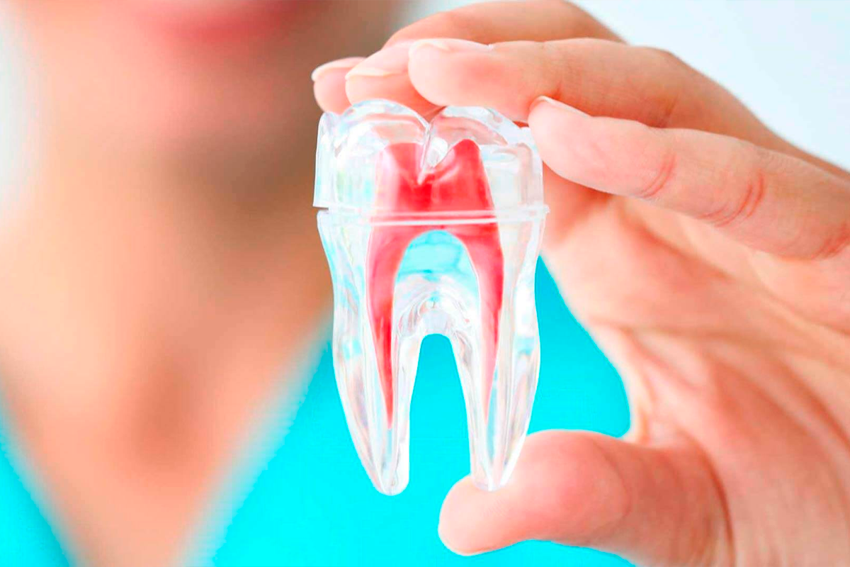 <span class="fw-bold">O que é Endodontia?</span>